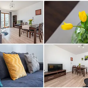Nova Letnica 2 - Billberry Apartament